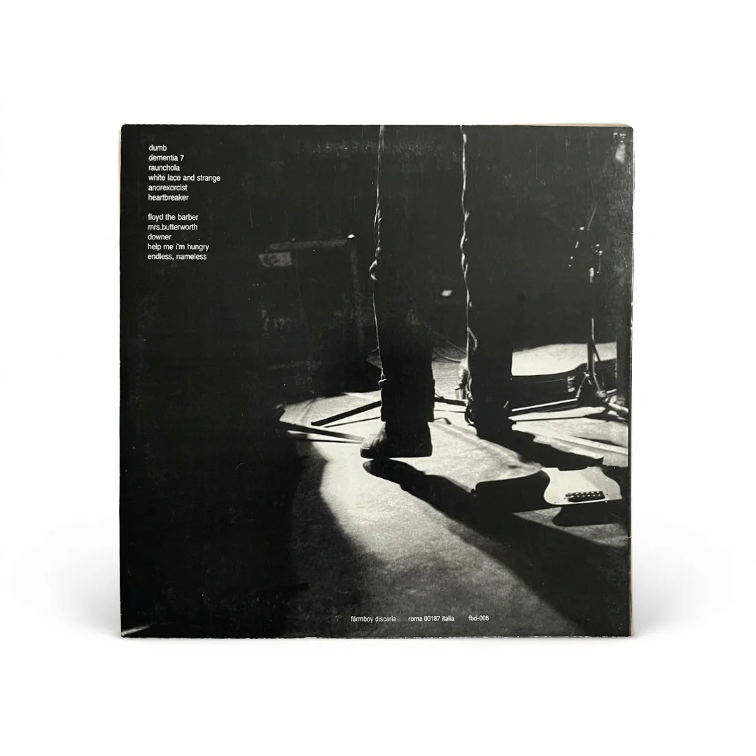 Nirvana – Damage, Mon Amour | Vinyl 12" LP (Farmboy Discaria Italy / Raro) - Imagen 2